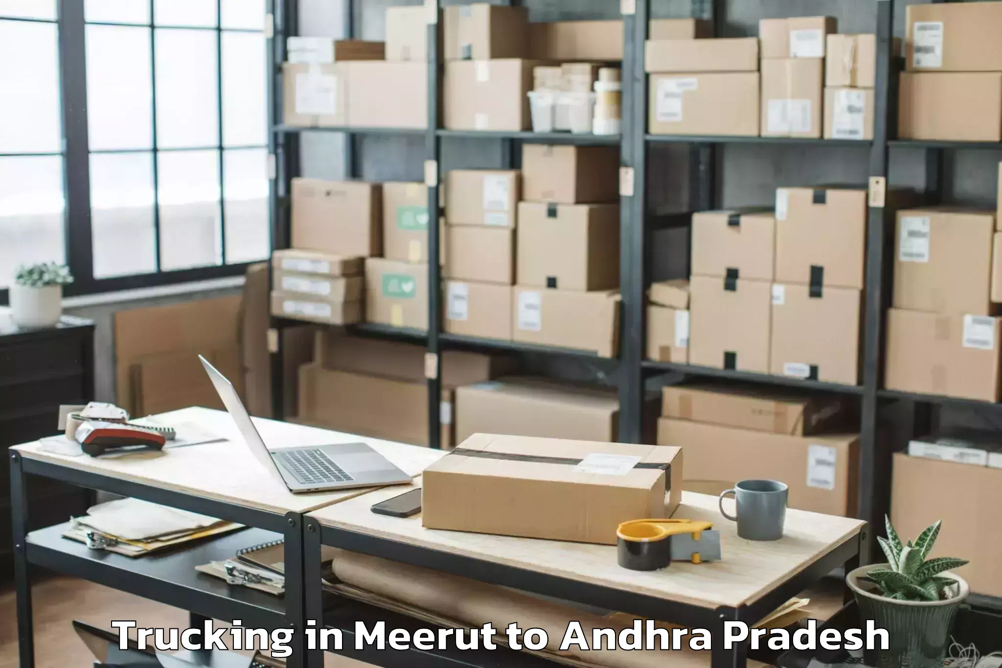 Leading Meerut to Pusapatirega Trucking Provider